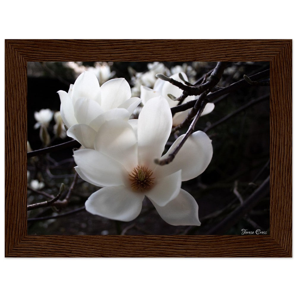 Magnolia Photo Print with Frame Colour of your Choice