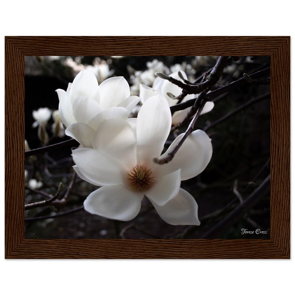 Magnolia Photo Print with Frame Colour of your Choice